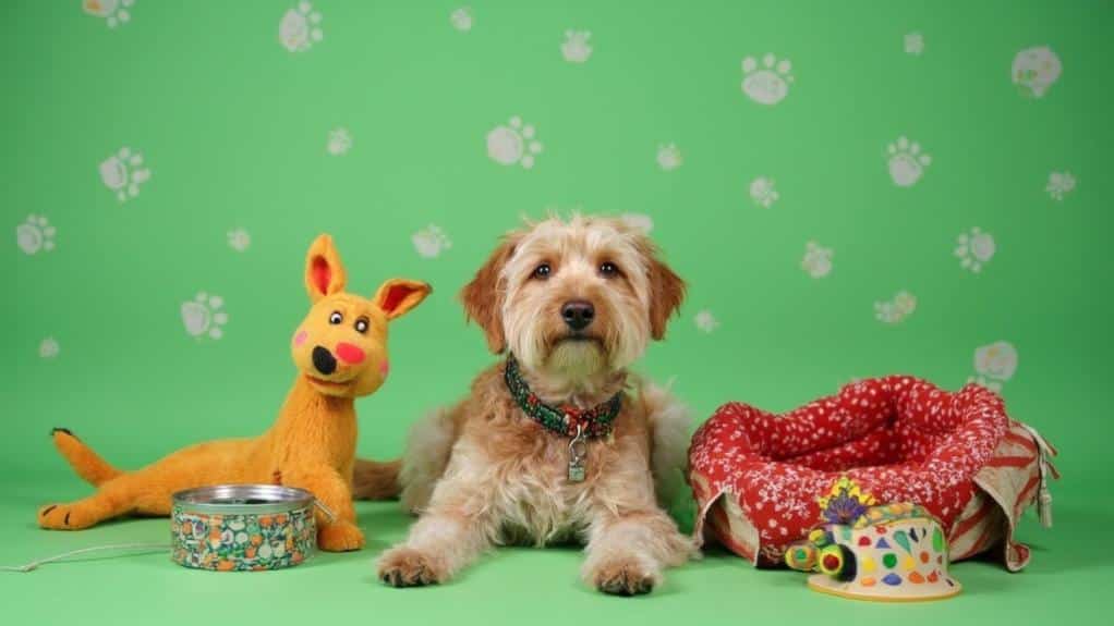 sustainable pet accessory reuse